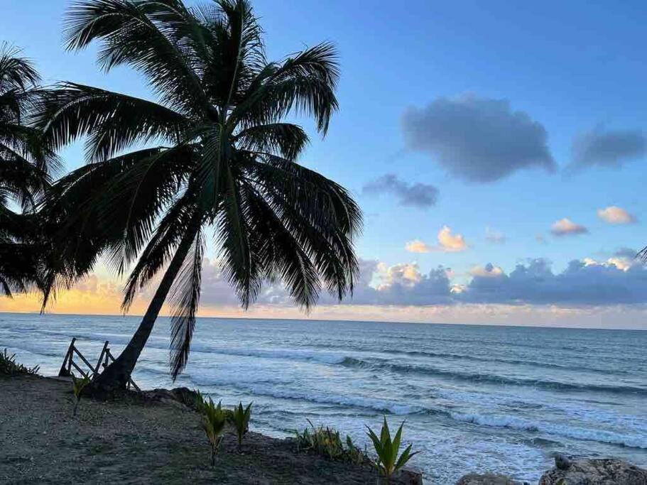 Villa Sea Beach Aguada Eksteriør billede